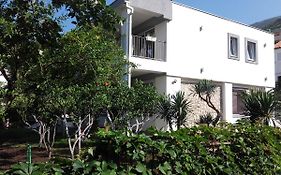 Guest House Djonovic
